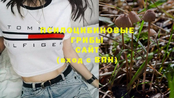 твердый Белоозёрский