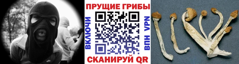 кракен ссылки  Пермь  shop официальный сайт  как найти   Псилоцибиновые грибы прущие грибы 