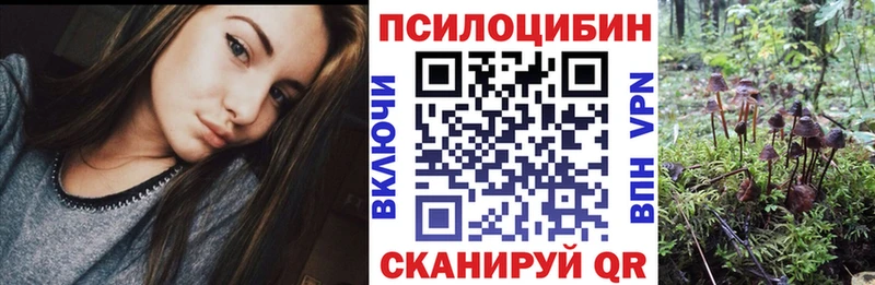 Галлюциногенные грибы Magic Shrooms Пермь